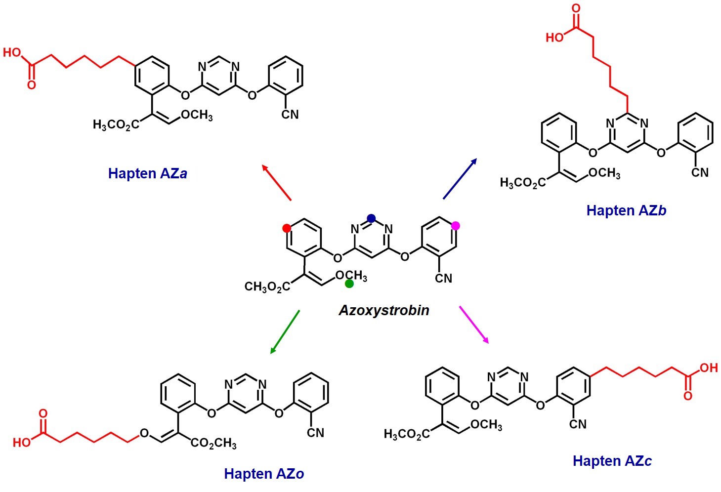 Design and synthesis of analyte haptens (azoxystrobin)